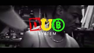 DopeSONIX  Dub System  VST  AU Reggae PlugIn [upl. by Atsiuqal275]