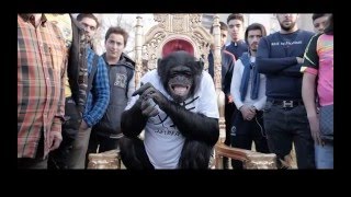 PNL  DA Clip Officiel [upl. by Eraste1]