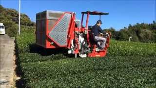 Riding type tea harvester OHC5VB [upl. by Talich]