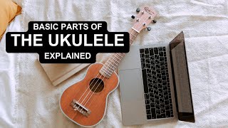 Parts of the Ukulele Explained [upl. by Alverson614]