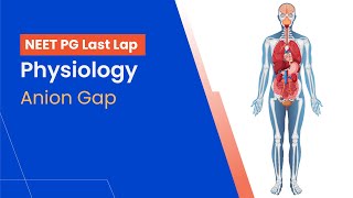 Physiology  Anion Gap [upl. by Romaine]