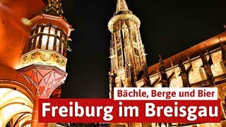 Freiburg im Breisgau  Bächle Bier und Berge [upl. by Akirej433]