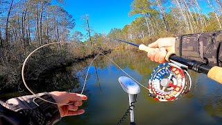 Saltwater Fly Fishing  Exploring Beautiful Hidden Backwaters [upl. by Raviv]