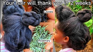 Clove and Rosemary Water for maximum Hair Growth and Thicker Hair [upl. by Fates]