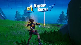 Fortnite Zero Build Solo Victory  11082024 [upl. by Clementine]