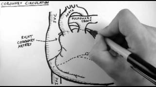 Coronary Circulation [upl. by Debo]