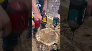 WATCH THIS NOW MILWAUKEE VS DEWALT VS MAKITA basictools tools goodtools [upl. by Alyek]