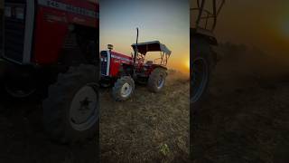 Bina Driver Dynatrack 246 Massey Ferguson 4x4 Tractor Ploughing Tractor Ploughing Short Shorts [upl. by Hotchkiss]