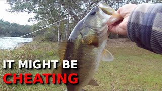 The EASIEST Way To Catch TONS Of NICE Fall Bass [upl. by Web]