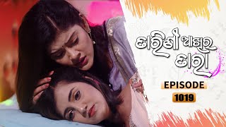 Tarini Akhira Tara  Full Ep 1019  10th May 2021  Odia Serial – TarangTV [upl. by Aicirtak]