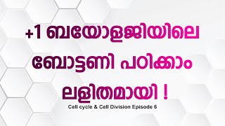 1 botany class Cell cycle amp Cell Division Episode 6 [upl. by Lakim961]