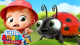 Canción Infantil de los Insectos 🐛🐜🐞  Bebé Juan  Little Angel Español [upl. by Imorej303]