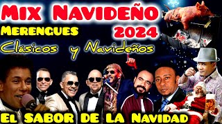 MIX NAVIDEÑO 2024 EL SABOR DE LA NAVIDAD MERENGUES CLASICOS Y NAVIDEÑOS [upl. by Jacie]