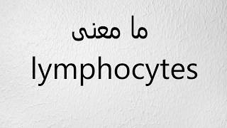 ما معنى lymphocytes [upl. by Littell]