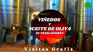 San Javier Córdoba  San Javier y Yacanto Traslasierra Córdoba produce Vinos y Aceite de Oliva [upl. by Nakre444]