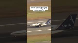 Cape Air flight with a landing gear issue appeared to land safety at Logan Airport in Boston rrair [upl. by Nala17]