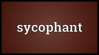 Sycophant Meaning [upl. by Trepur668]