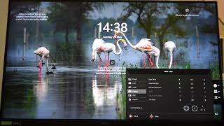 How To Enable amp Disable Adaptive Sync on Acer Predator XB3 [upl. by Heid]