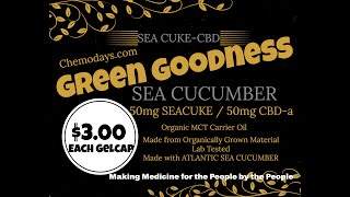 Green Goodness  Atlantic Sea Cucumber 50mg  CBDa  50mg  Gelcaps  Cancer Protocol Supply [upl. by Wettam]