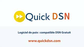 DSN Mensuelle  Frais de transport et Frais professionnels  QuickDSN [upl. by Wells]