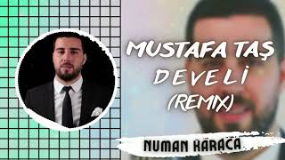 Mustafa Taş  Develi Numan Karaca Remix OyunHavaları [upl. by Odlopoel]