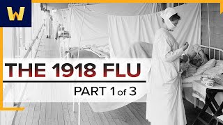 The 1918 Spanish Flu—A Conspiracy of Silence  Part 1 of 3 [upl. by Aronle]