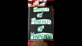 Business Studies Project on principle of management V Mart Class 12 CBSE [upl. by Anabel]