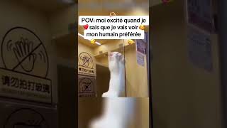 abonne toi pour plus de vidéopartage et like tiktokfrance amour tiktok couple viral citation [upl. by Yeldahc]