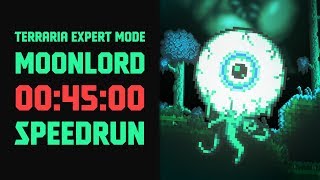 Terraria  Expert Mode Speedrun Moonlord in 45 minutes Seeded ANY RTA [upl. by Mollie]