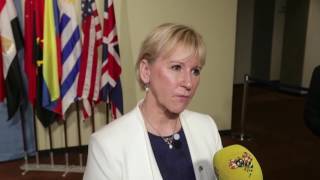 Margot Wallström om Sveriges plats i säkerhetsrådet [upl. by Marylynne]