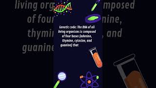 GeneticCode DNA adenine thymine cytosine and guanine shorts [upl. by Mueller601]