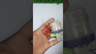 How to make dc motor se bana ek mini mixture machineshortvideo viralvideo shorts [upl. by Mclaurin980]