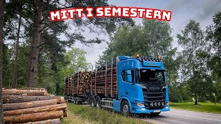 Lastar krokig björk på Scania R660 [upl. by Eelreveb]