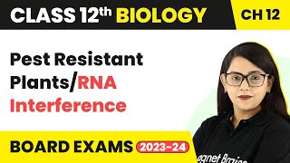 Pest Resistant PlantsRNA Interference  Class 12 Biology Chapter 12 NCERTNEET 202223 [upl. by Nine]