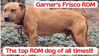 Garners quotFriscoquot ROM TOP APBT ROM OF ALL TIMES [upl. by Fagan644]