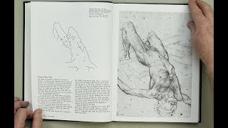 ANATOMY FOR ARTISTS Anatomy Books [upl. by Annaeoj]