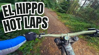 Dyfi Bike Park El Hippo Hot Laps 🔥 GastoVlog [upl. by Melony]