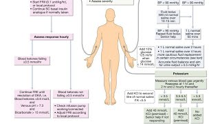 Diabetic ketoacidosis [upl. by Kantos260]