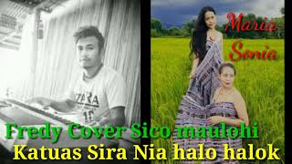 fredy Cover sico maulohi katuas sira nia halo halok 2021 [upl. by Begga]