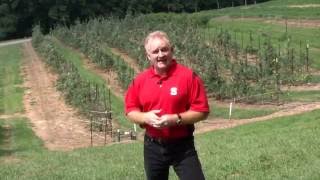 Apple Rootstocks for the Southeast [upl. by Mari]