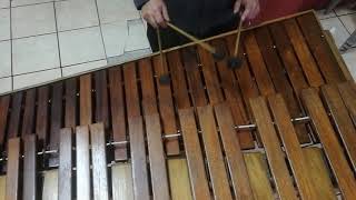 aprende a tocar Marimba Acorde de do mayor para el centro armónico marimba fácil letto band [upl. by Gilmore]