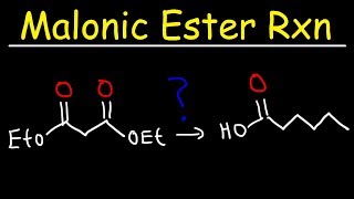 Malonic Ester Synthesis Reaction Mechanism [upl. by Ardnoed]