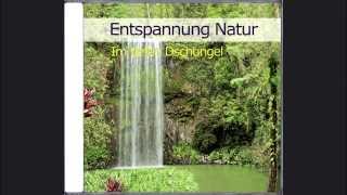 Entspannung Natur  Im tiefen Dschungel [upl. by Alane]