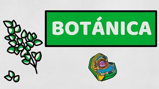 ☘️ INTRODUCCIÓN A LA BOTÁNICA  Biología Vegetal [upl. by Grey]