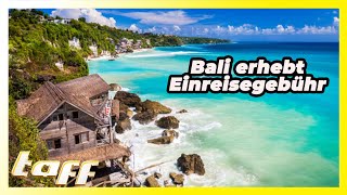 Bali erhebt ab 2024 Einreisegebühr Soviel müssen Touristen zahlen [upl. by Ekul]