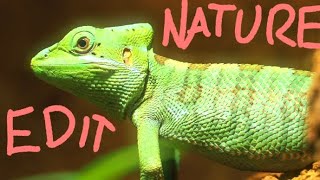 Nature edit 4K  Clips from 8K earth paradise [upl. by Mackintosh]