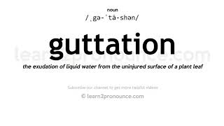 Pronunciation of Guttation  Definition of Guttation [upl. by Sheply]