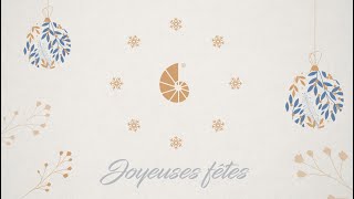 Joyeuses fêtes et heureuse année 2025 [upl. by Akisej]