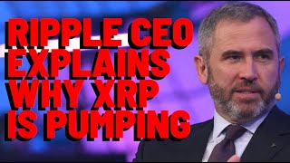 XRP Ripple CEO Explains WHY XRP IS PUMPING [upl. by Munshi]