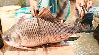 Fish Cutting Expert  Huge Rohu Fish Cutting amp Skinning Skills Live In Bangladesh [upl. by Jorry]